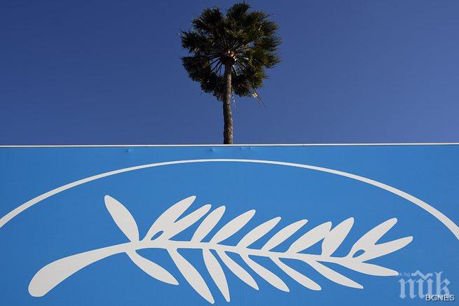 Днес стартира филмовия фестивал в Кан