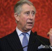 Свръхсекретен доклад разкри: Принц Чарлз лобирал пред Тони Блеър за въоръжените сили