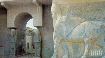 арабските страни заедно юнеско готови защитят унищожение разграбване културното историческо наследство близкия изток