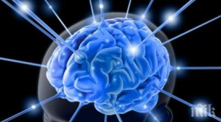 създадоха първата електронна памет наподобяваща човешки мозък