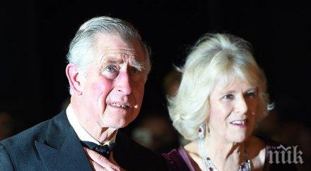 принц чарлс дал пари сциентолозите