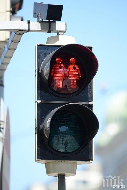 Австрийската партия на свободата разкритикува гей светофарите