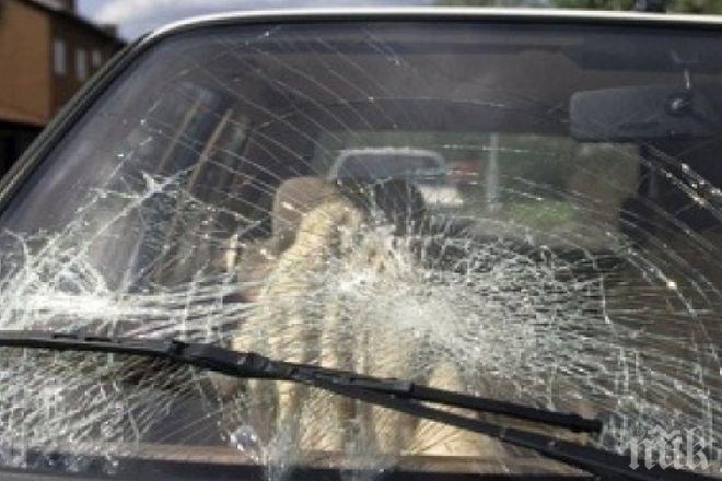 Автомеле в столицата! Три коли се сблъскаха на бул. Акад. Стефан Младенов