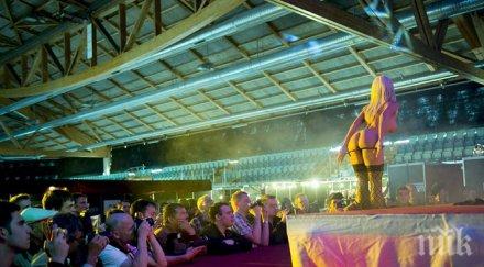 нищо общо какви порно предпочитанията двата пола