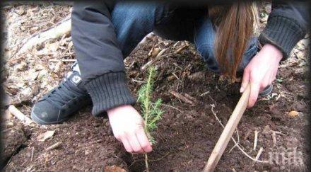 еквадор постави световен рекорд залесяване