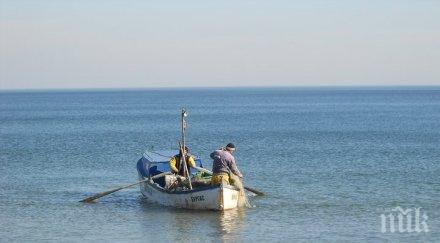 морска риба произвежда собствен слънцезащитен лосион