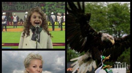 невероятно шоу крисия десислава взривиха разград подгряха лудогорец стана шампион път обновена снимки