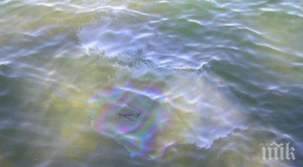 токийския залив образувало нефтено петно