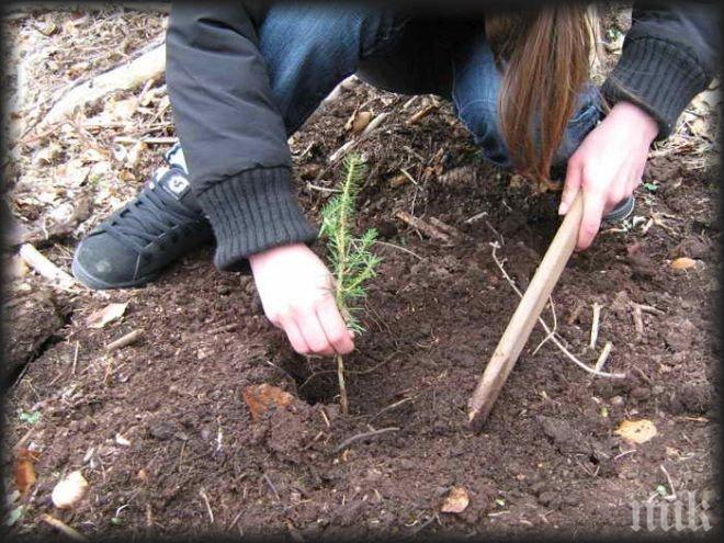 Еквадор постави световен рекорд по залесяване