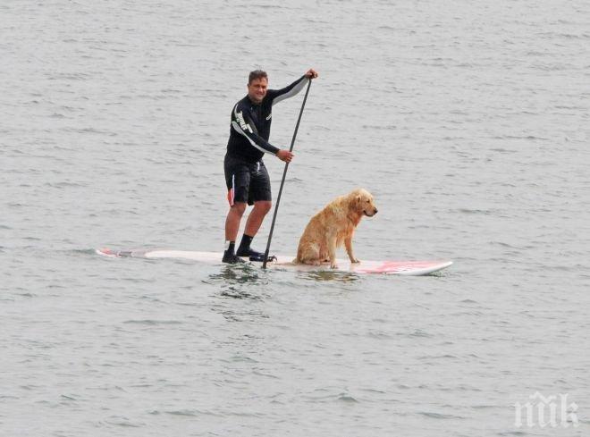 Куче на сърф смая бургазлии (снимки)