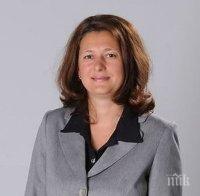 Родни депутати трупат опит в Румъния