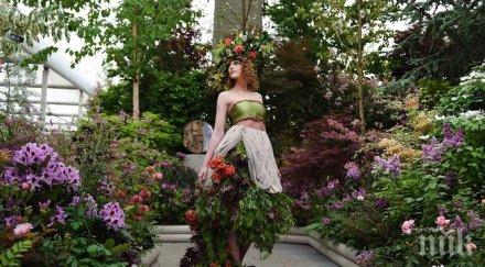 изненади море цветя лондон