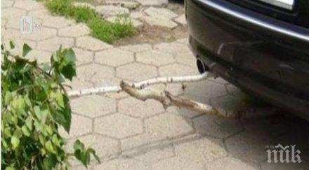 наглост шофьор паркира бреза стара загора