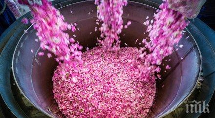 фотоизложба открито фестивала розата казанлък