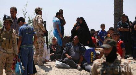 пентагонът потвърждава завземането иракския град рамади ислямска държава