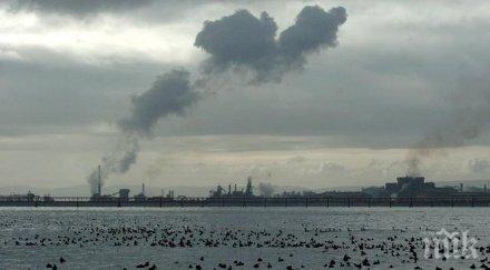 разследват смъртта 1300 птици чилийски плаж