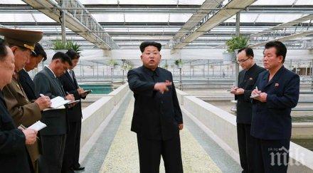 ким чен недоволен пропагандата ферма костенурки