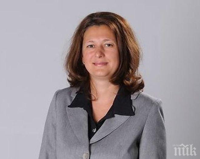 Родни депутати трупат опит в Румъния