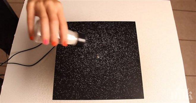 Тя разсипа сол върху масата и увеличи звука. Това, което се случи, ще те изуми!