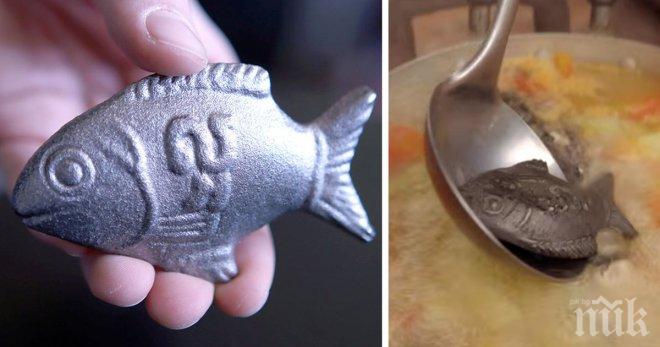 Как тази желязна риба може да спаси животи?! Невероятно, но факт!