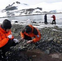 Чилийски учени търсят лекарства срещу супербактерии