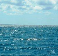 80 000 литра нефт изтекоха в океана