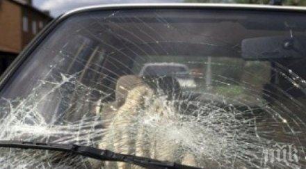 тежка катастрофа пътнически автобус автомобил сблъскаха тунела витиня обновена