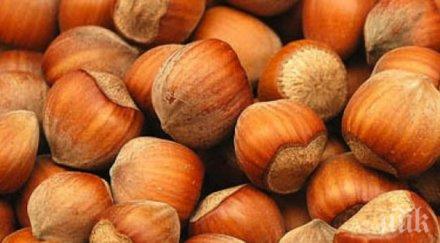 лешникът рекордно скъп