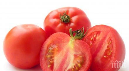 ценови шок петрич софия доматите поскъпват три