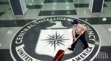 арабската пролет цъфна каида