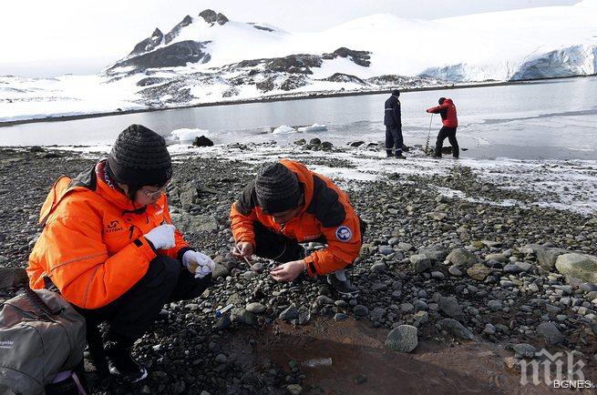 Чилийски учени търсят лекарства срещу супербактерии