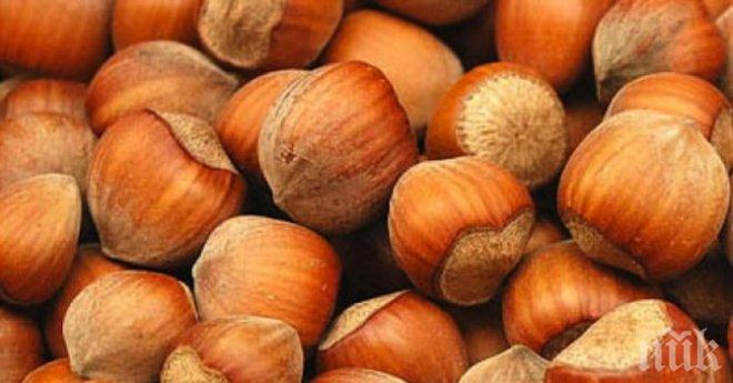 Лешникът рекордно скъп