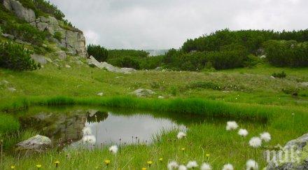 горските царево минават специално обучение