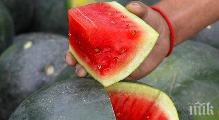 дини цената една нова кола търг япония