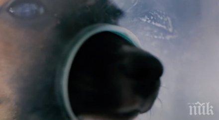 бизнес изглежда нормален всичко продава шокира хората останаха доволни