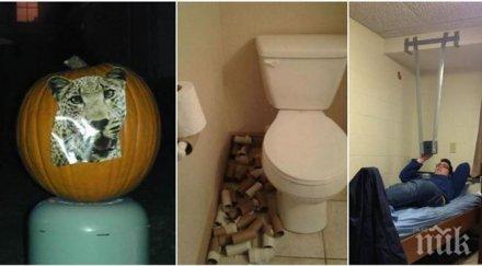 точно случва мързелът заема връх