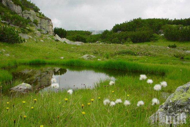 Горските в Царево минават специално обучение
