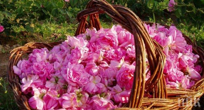 Излезе пътеводителят на Община Казанлък Фестивал на розата 2015