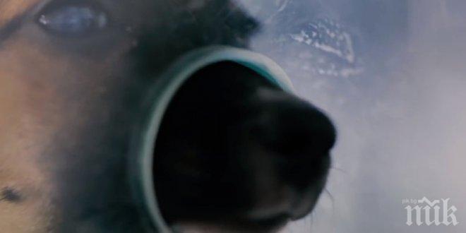 Този бизнес изглежда нормален, но всичко което се продава там, шокира хората! Те останаха доволни!