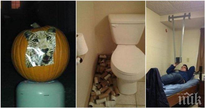 Точно това се случва, когато мързелът заема връх! 