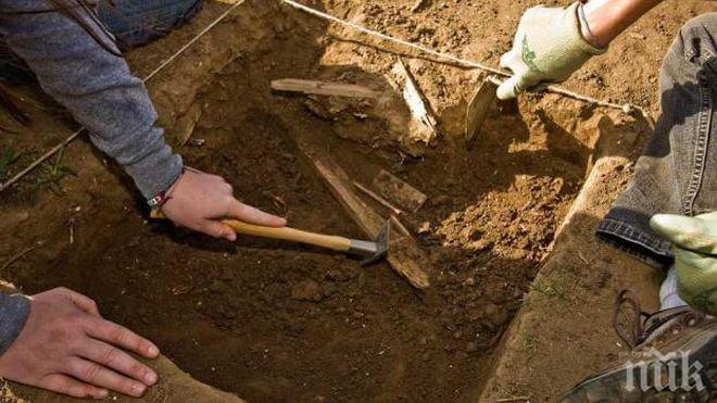 Откритие може да преобърне представата за предците на човека