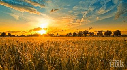 новата микродържава света мести