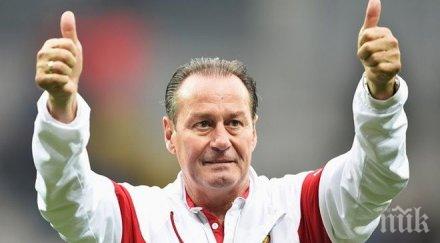 щутгарт раздели треньора хууб стевенс