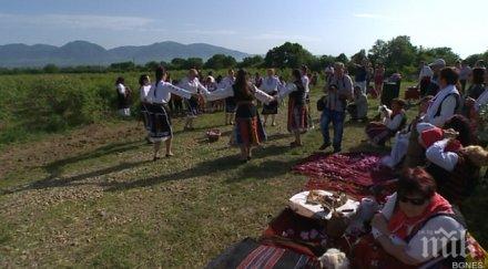 ръжена моми момци нагазиха розовите масиви