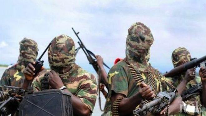 Армията на Нигер ликвидира множество екстремисти от Боко Харам