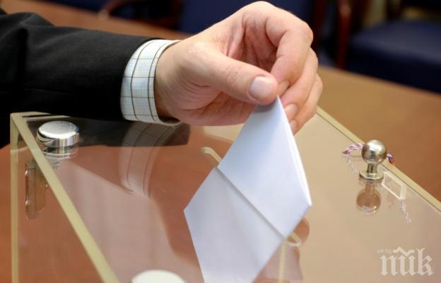 Висока избирателна активност е отчетена на референдума за еднополовите бракове в Ирландия