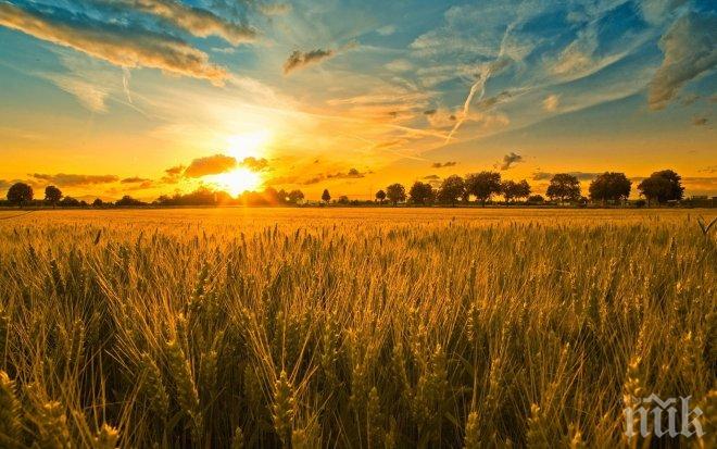 Най-новата микродържава на света ще се мести