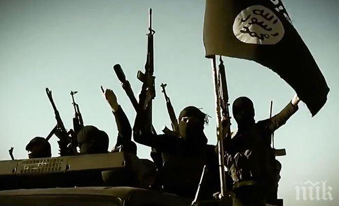 „Ислямска държава“ е планирала атентат срещу германския президент?