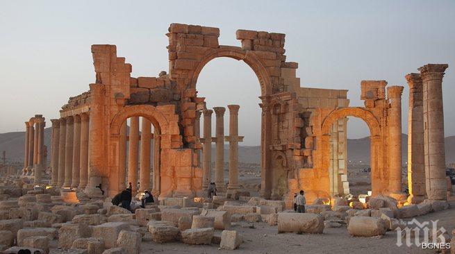 ООН: Завземането на Палмира е варварски тероризъм
