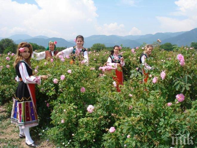 Розоберът пред провал, няма кой да работи